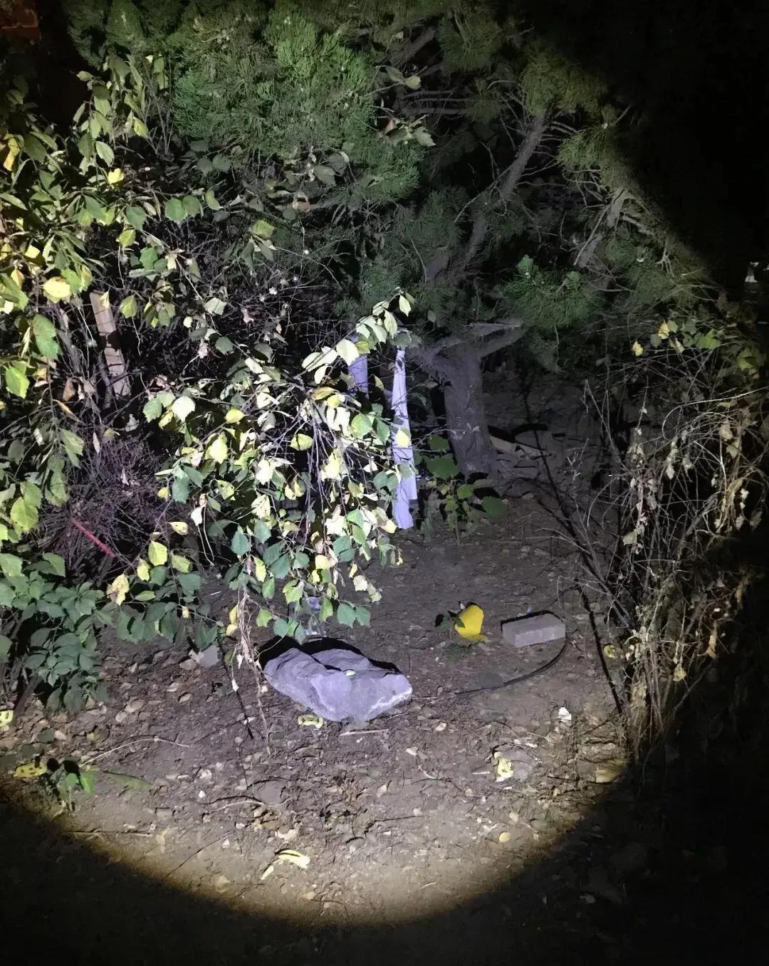 关于恋爱的事,关于恋爱你要知道的