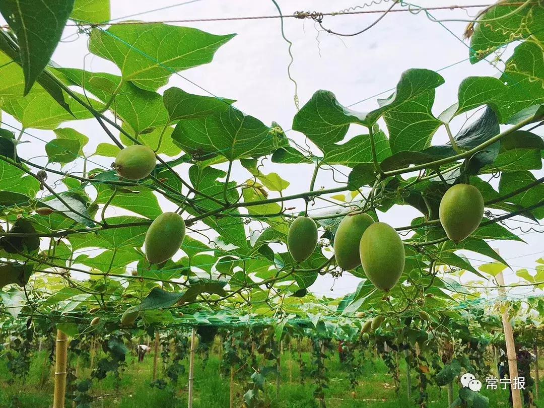 40年沧桑巨变中不变的初心,40年沧桑巨变图片