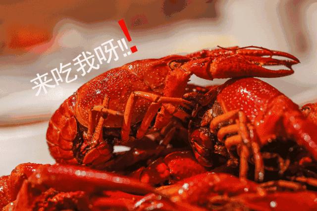 重庆必吃的小龙虾,重庆小龙虾哪一家最好吃