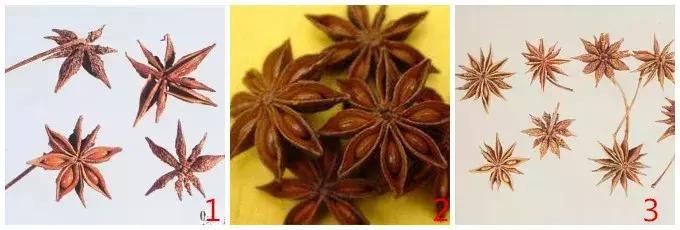 真实的法医基础知识,细思极恐的法医知识