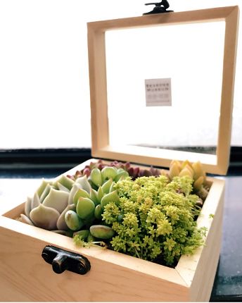 【干货】别催，女神节活动及礼物推荐来了~