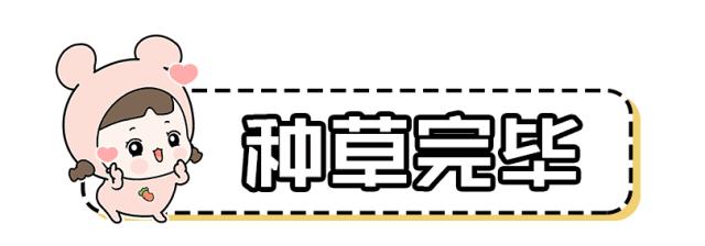 mac新年限定款波普豆沙色,mac新年限定高光