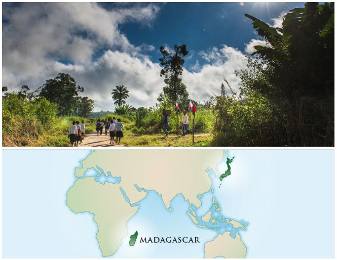 奥尔滨顶级精华,奥尔滨精华评价