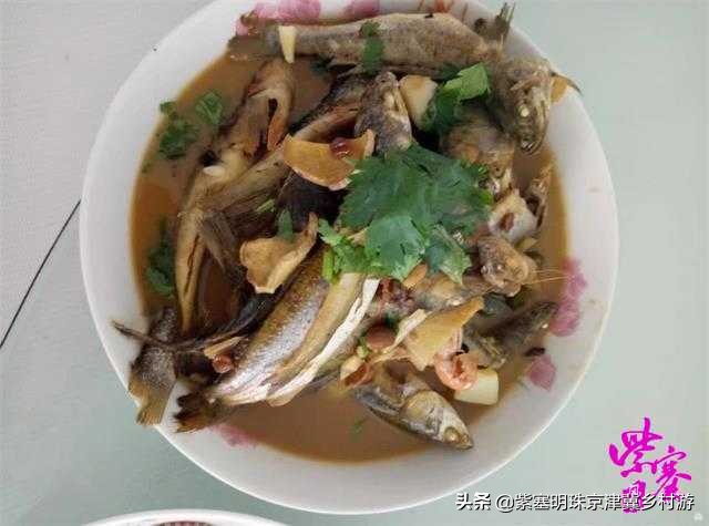 人间六月天，来海岛许一场似水流年——唐山乐亭韩姐农家院