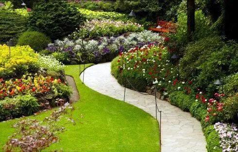 笑谈种树的艺术——看园林专业的魅力