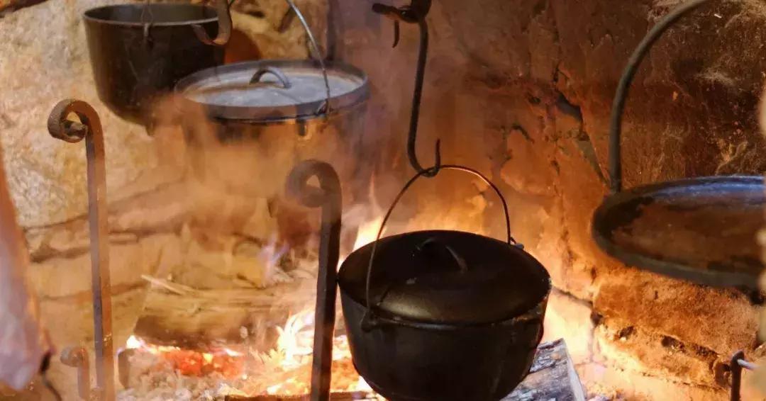 这种细思极恐的“橡木桶老汤”,造就了一众世界名酒