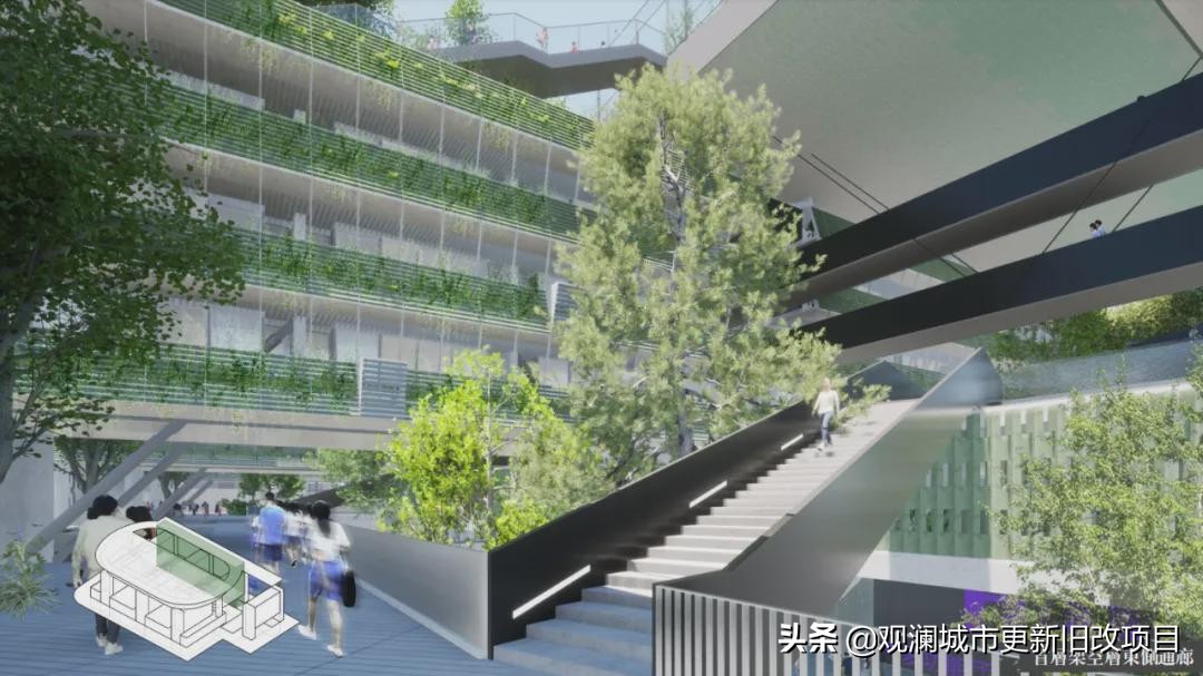 罗湖引入顶级学校,深圳罗湖高级学校