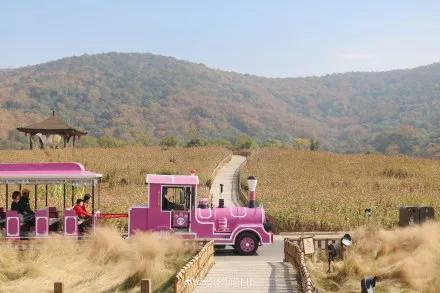 拈花湾最新消息,拈花湾风景区讲解