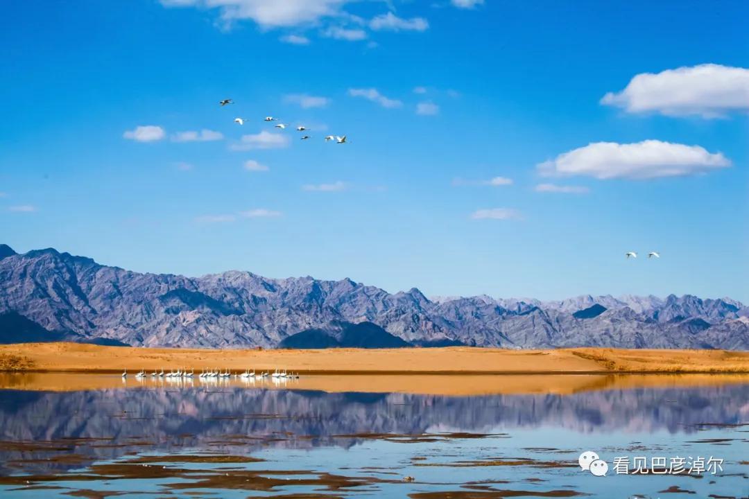 内蒙古巴彦淖尔有多美,巴彦淖尔有多美