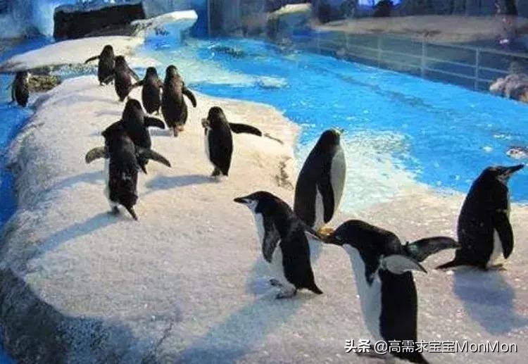 周末去哪儿儿童乐园,儿童去哪儿旅行