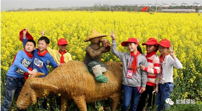 榆林芹河旅游,榆阳区周末游玩推荐