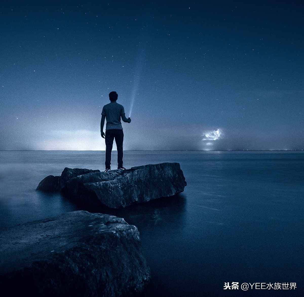 养鱼的心酸和感受,养鱼其实也是一个自我磨练的过程