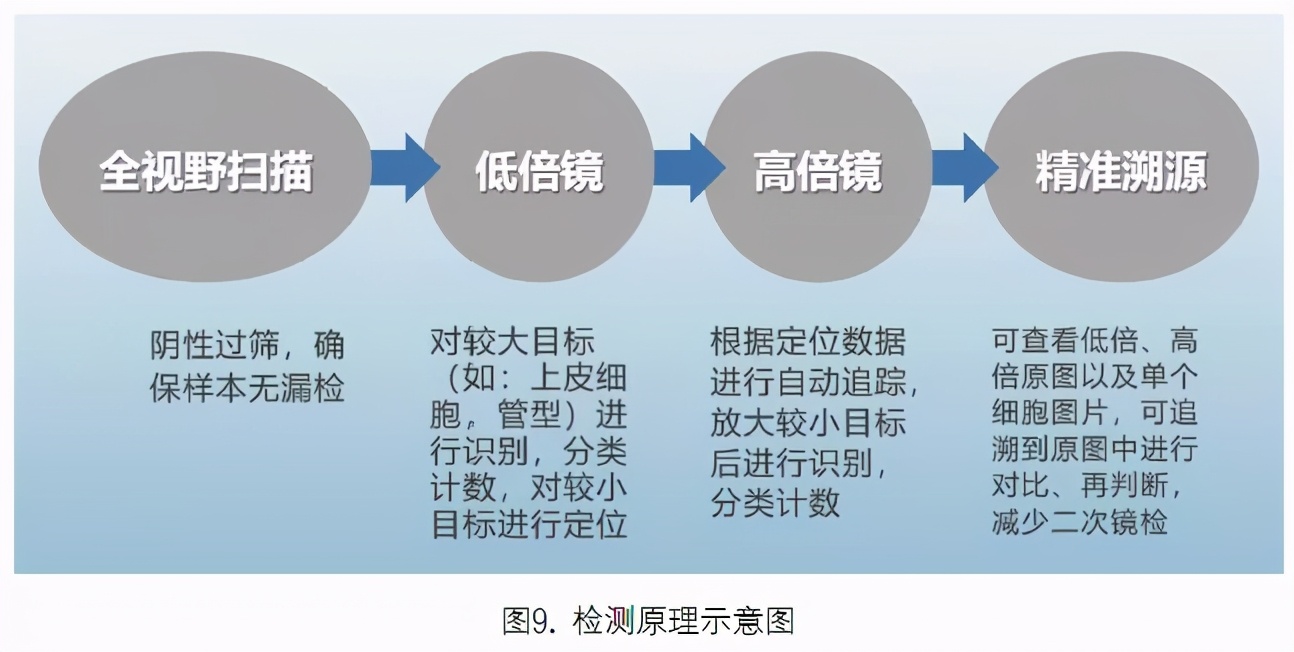 尿液有形成分分析的应用进展,尿液染色方法