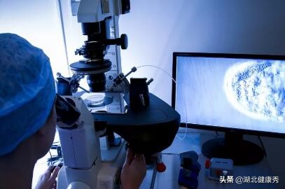 试管婴儿的10个真相，无论好坏都有，这大概是史上最良心的解答