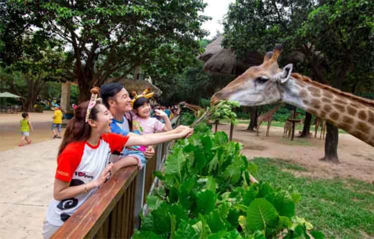 广州长隆野生动物世界游览图,广东广州长隆野生动物世界