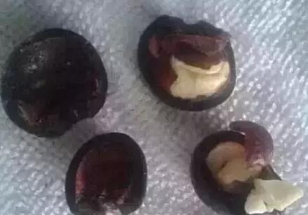 香木手串盘发绿,菩提手串如何快速盘发亮