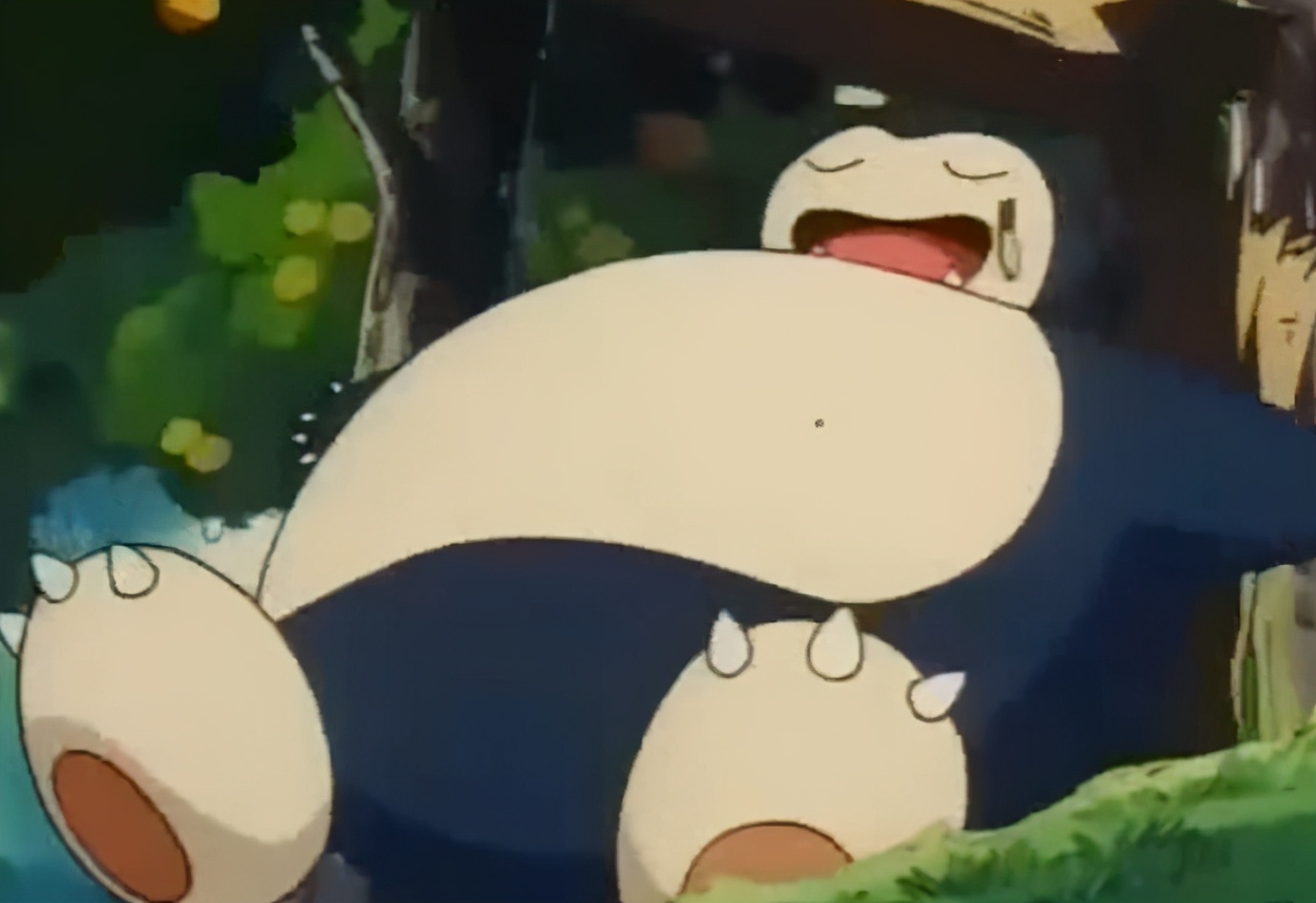 宝可梦旅途小智收服多少只宝可梦,宝可梦小智带水水塔去训练