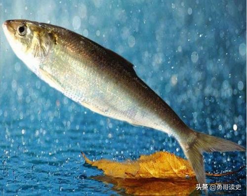 恭王府和醇亲王府,恭亲王和醇亲王是什么意思