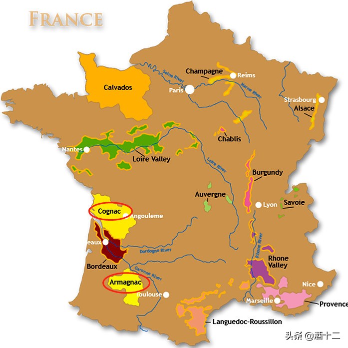 李宇春生日感动到哭,李宇春捐款1490万是真的吗