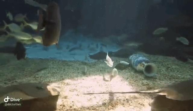 泉城欧乐堡海洋极地世界4点入园,全家游青岛极地海洋世界费用