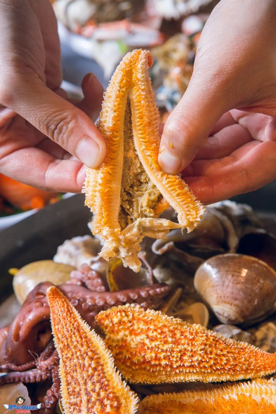 爽到爆的美食,爽到爆吃海鲜