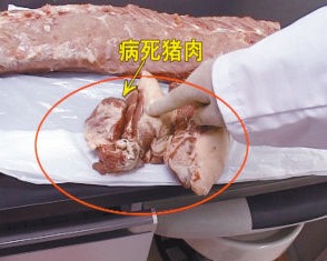 如何判断猪肉是否含激素,怎么检测猪肉里面的激素含量