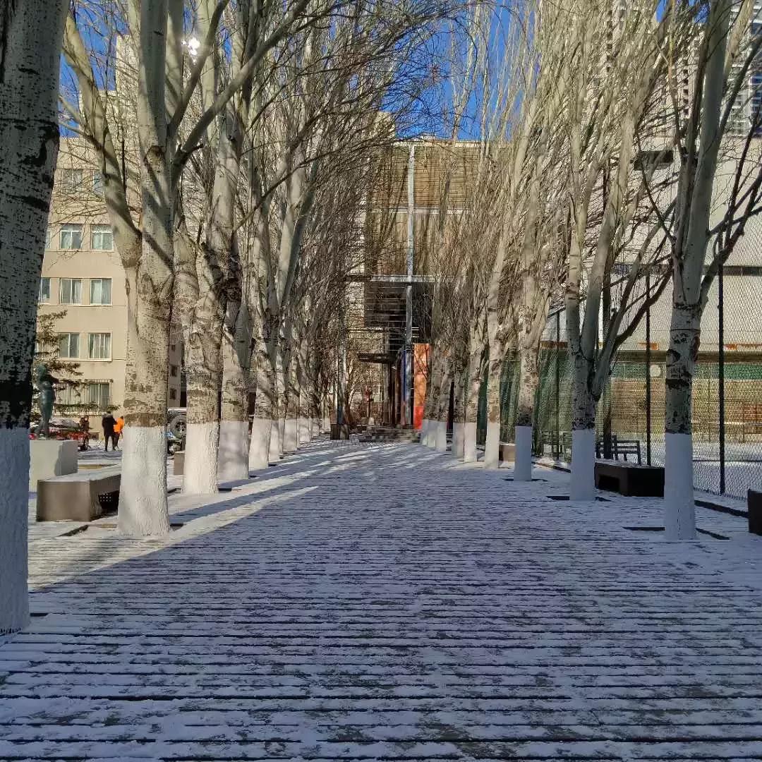 辽宁大学和鲁迅美术学院,辽宁省鲁迅美术学院是985吗