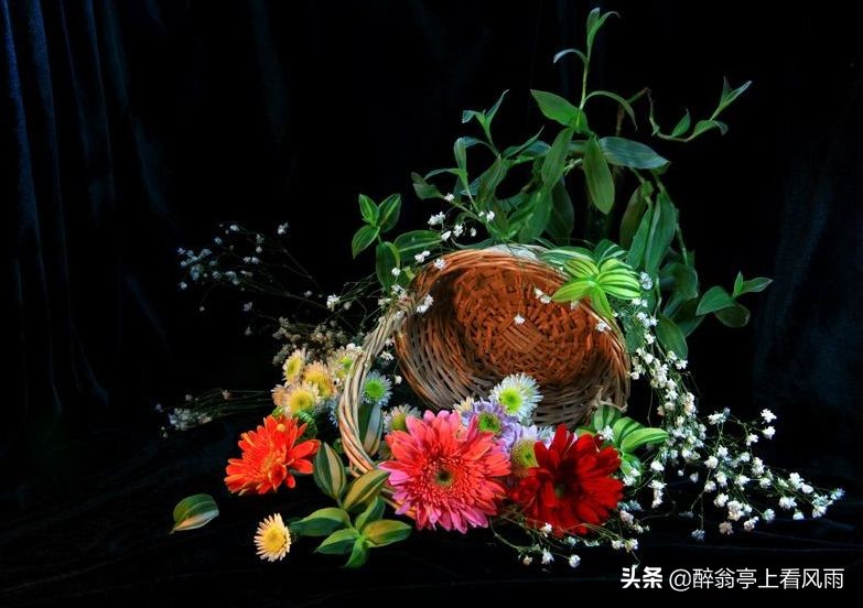 知己是一种心灵的陪伴,知己感动到哭的视频