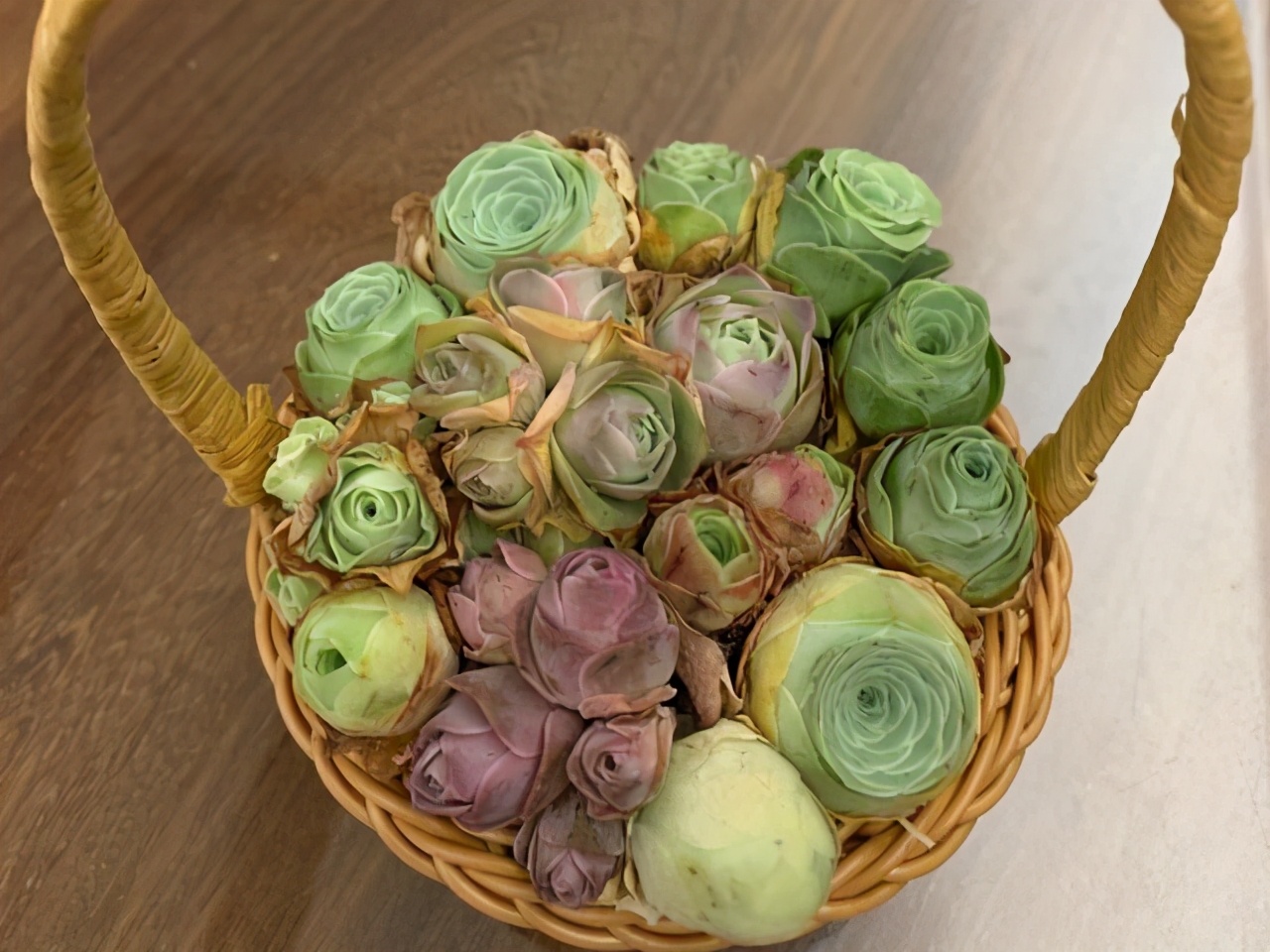 推荐几个玫瑰形的多肉植物,最像玫瑰花的8款多肉