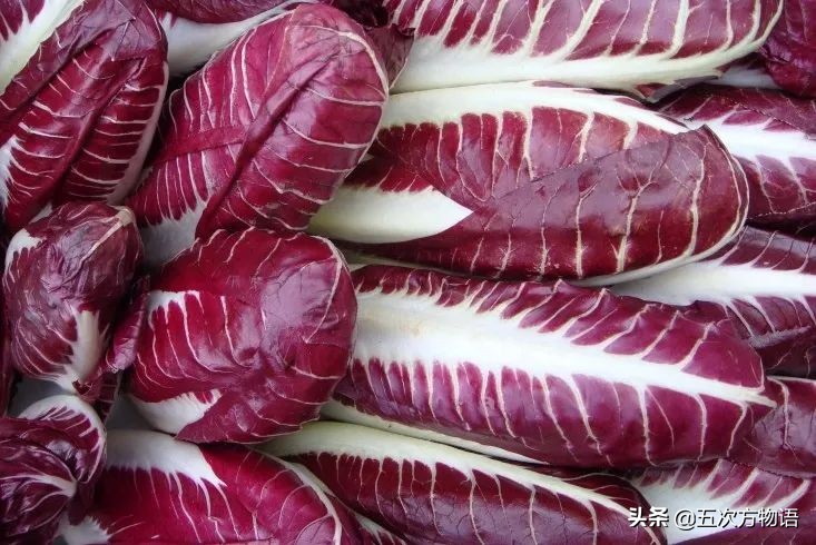 欧洲十大奇怪蔬菜 (欧洲冷门蔬菜)