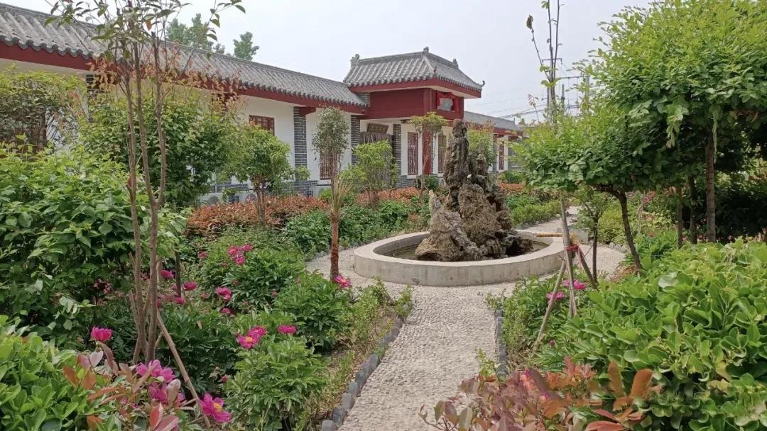 【喜讯】吴村镇王敬屯卫生院张会来团队荣获省“十佳中医全科医生团队”荣誉称号