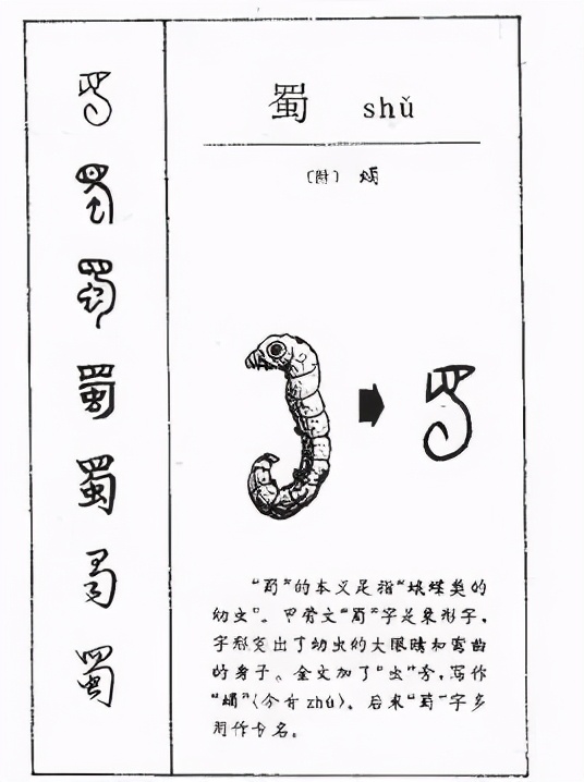 三星堆到底有什么神秘的,三星堆会有什么重大发现