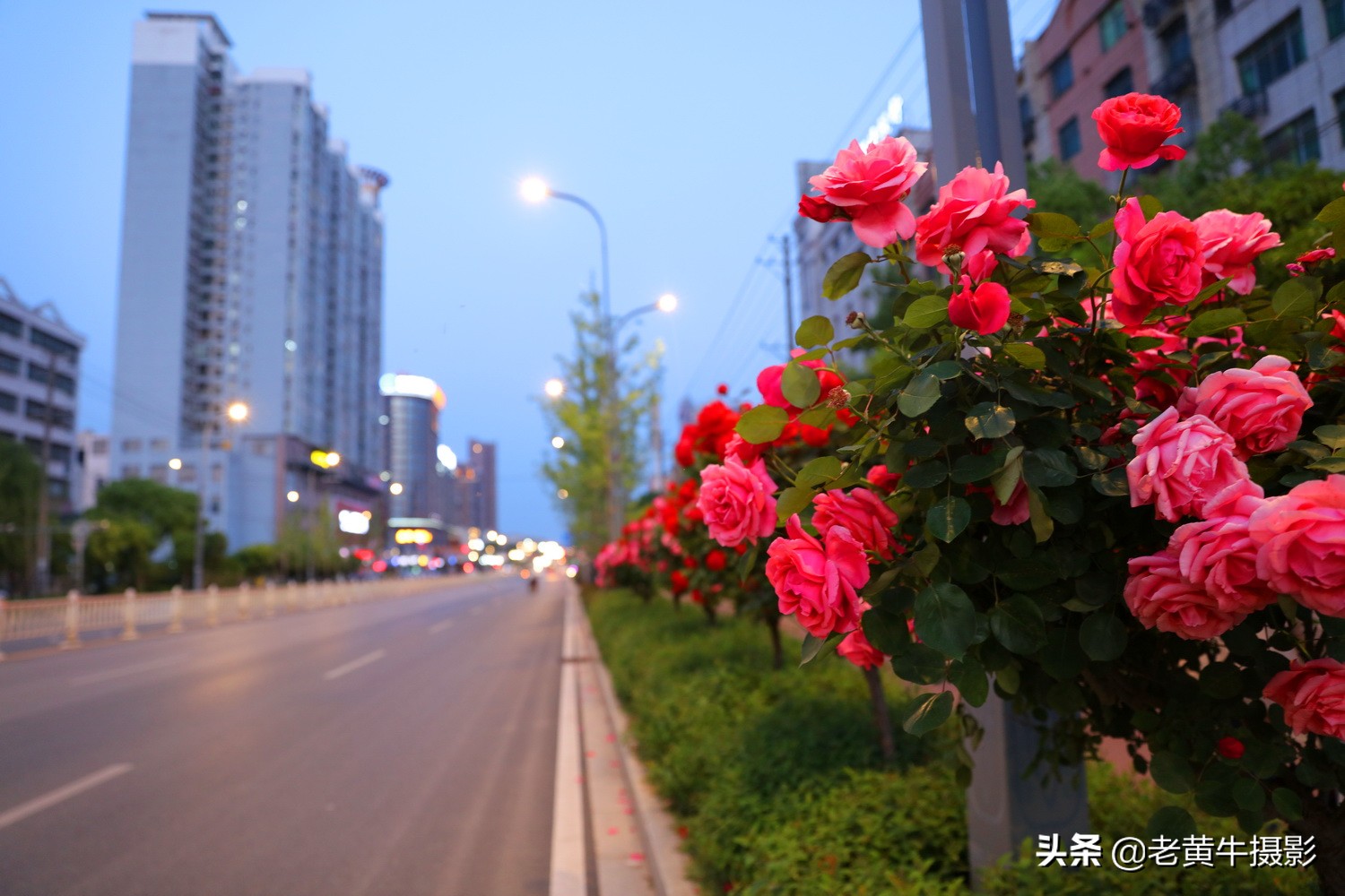 湖北京山摄影,京山摄影作品