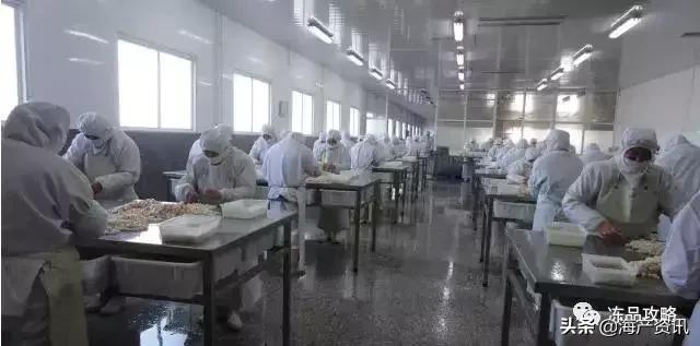 有冰衣的冷冻虾仁好吗,速冻虾仁怎么穿冰衣