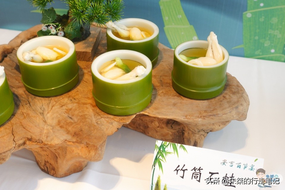 安吉哪里的竹最好,安吉的竹子