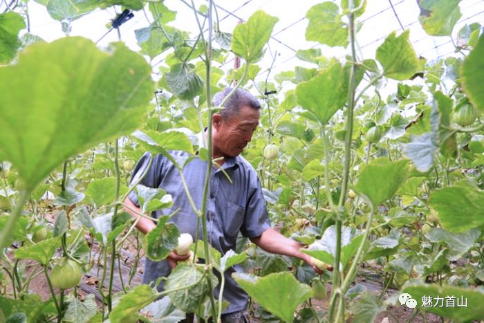 【走向我们的小康生活】自强不息产业致富撑起脱贫梦