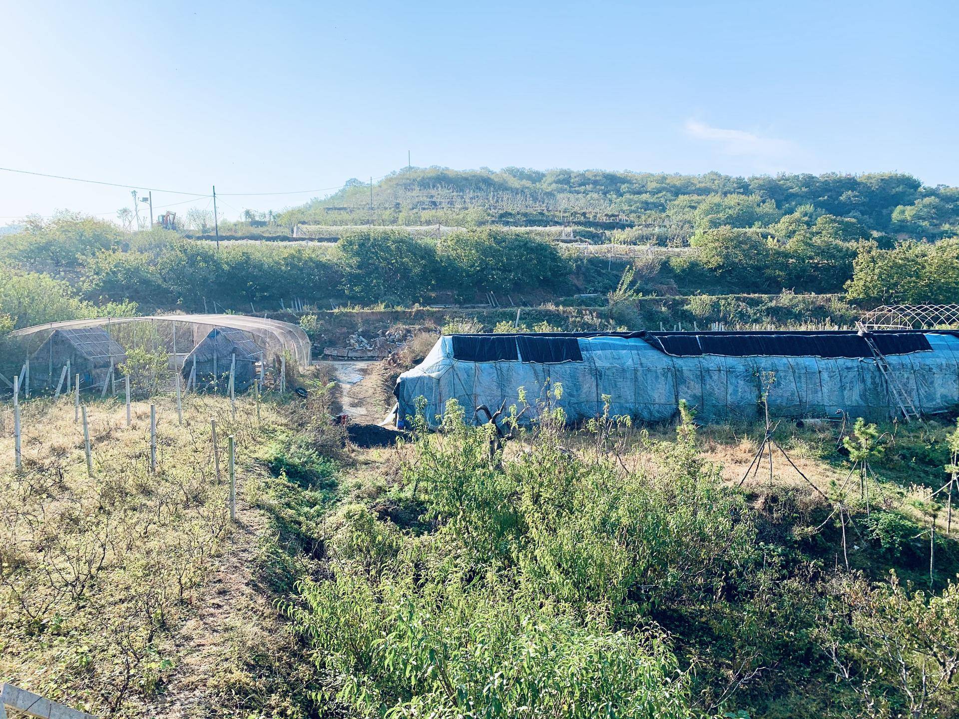 有山有水民宿原生态旅游,有山有水有云民宿名字