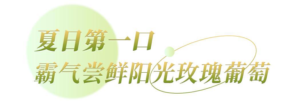闆嚂閰稿ザ,澶╁北闆嚂閰稿ザ