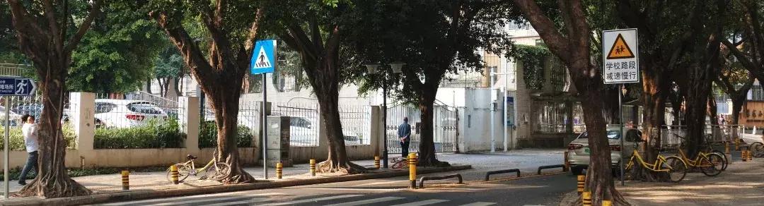 景甜经典片段,景甜童年照