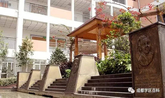 成都高新大源学校初中排名,高新区大源片区学校排名