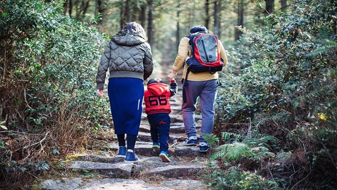 解决孩子胆小内向的方法,孩子胆小内向怎么教养