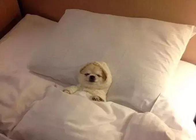 这款去黑眼圈的神器，我帮你拔草了！