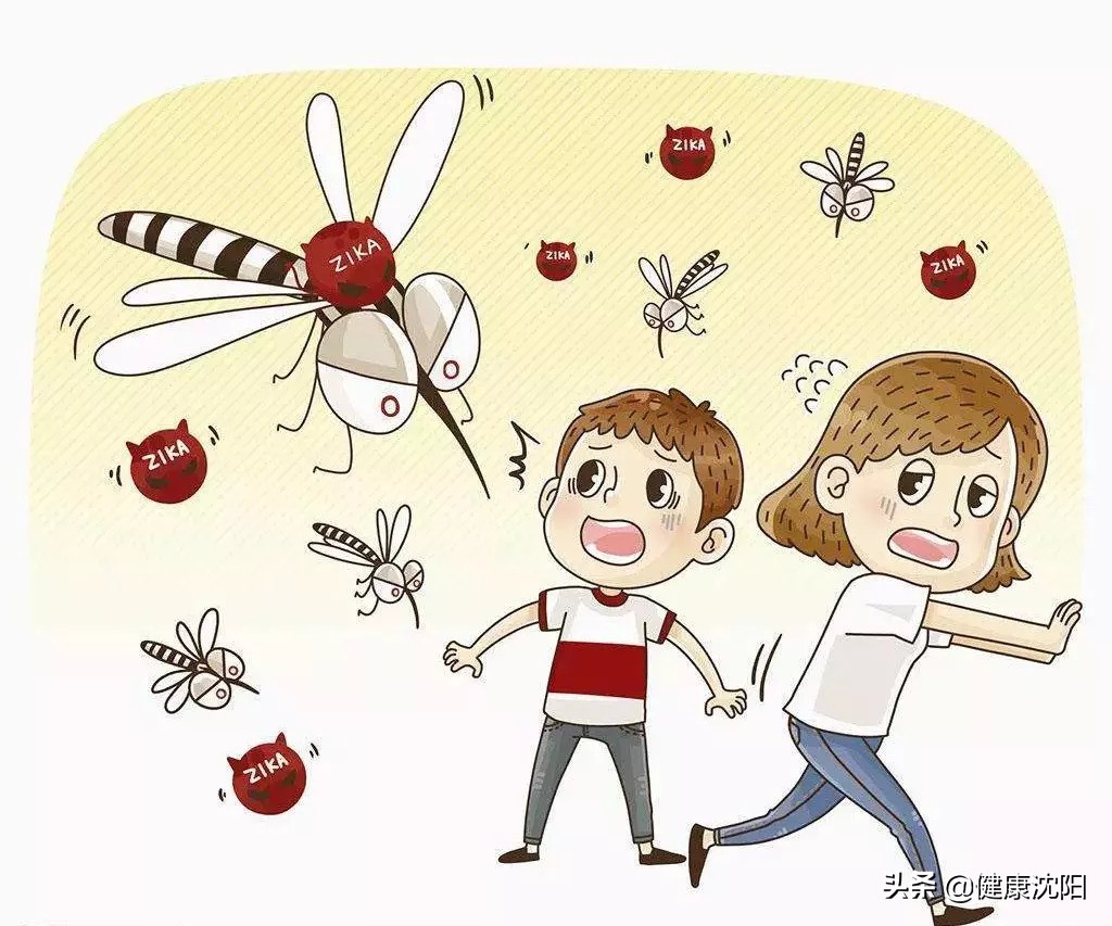 健康教育预防蚊虫叮咬优质课,蚊虫叮咬健康宣教