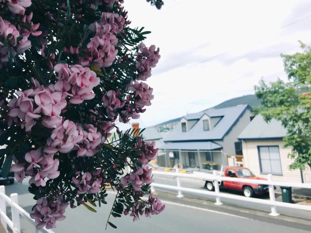 胎盘植入的海扶治疗：光和爱的到来让伤害更小