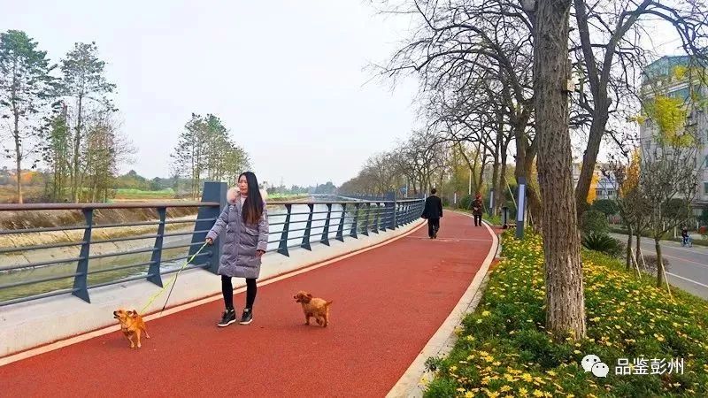 来彭州带你看海,冬天的彭州