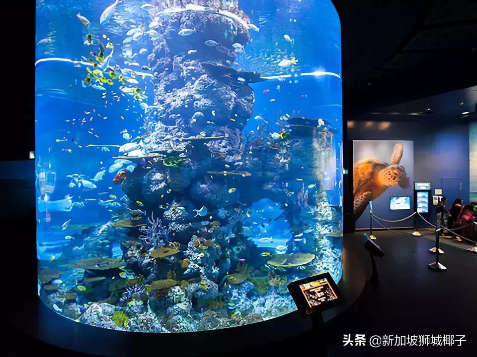 新加坡生活省钱攻略,2020新年新加坡旅游攻略