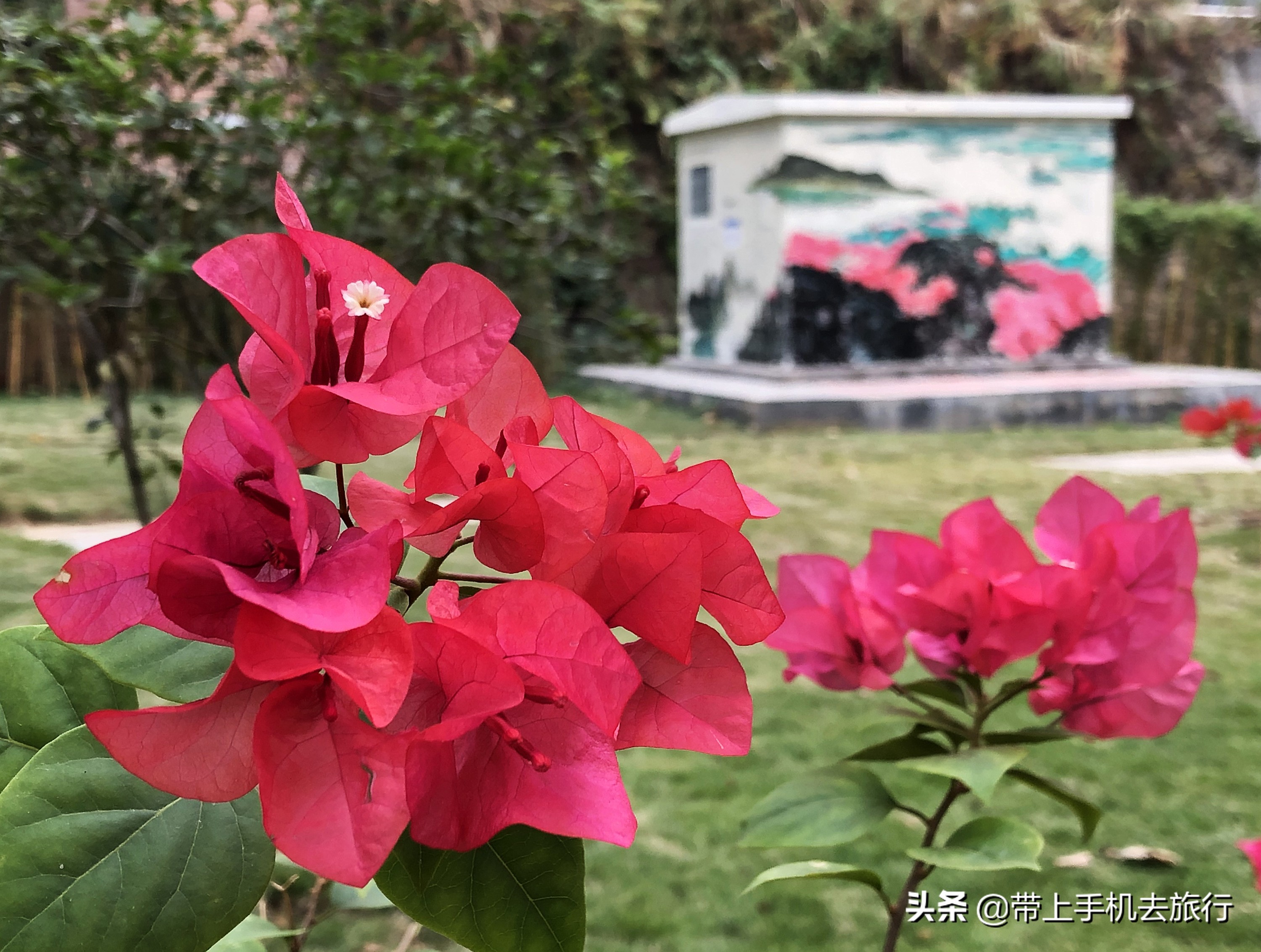 “减法”、虚化和“加法”,让画面瞬间干净简洁唯美