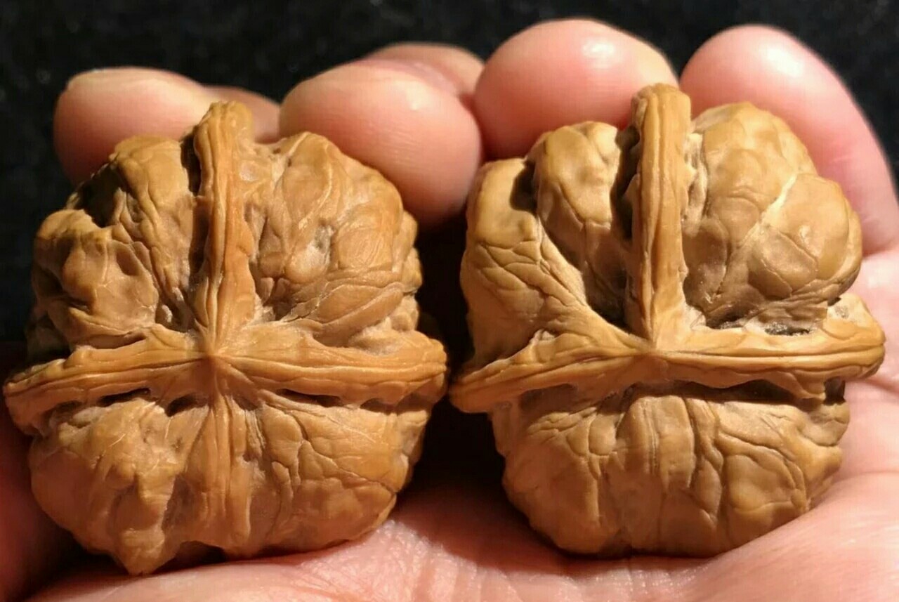 文玩核桃缝里不上色怎么办,文玩核桃有些地方不上色怎么办