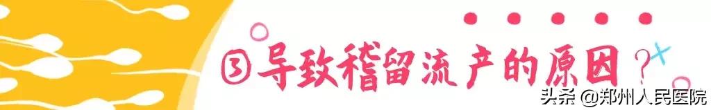 这个小镜子，照看着世上最贵的“房子”