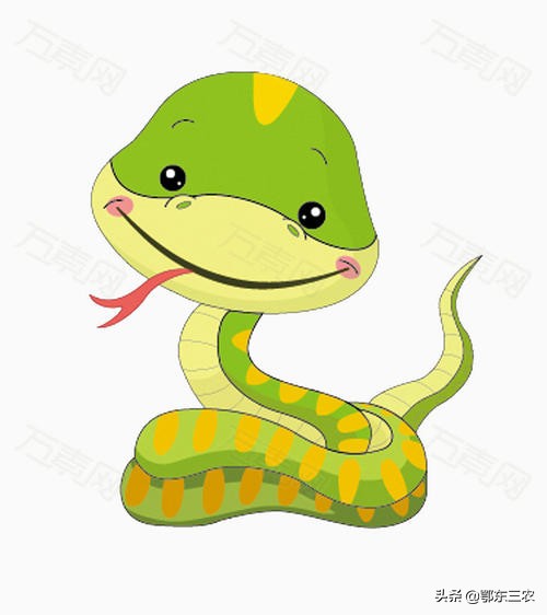 农村老人说,有一种放电的蛇,还会跳起来飞越山谷,到底有没有?